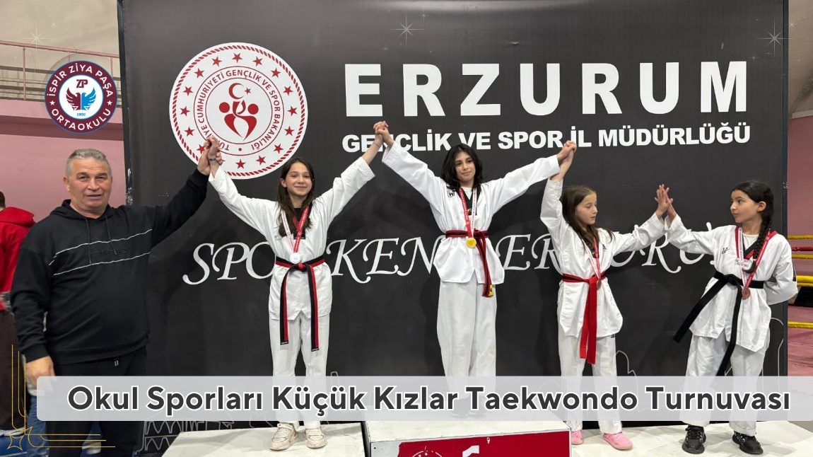 Okul Sporları Taekwondo Turnuvasında Büyük Başarı